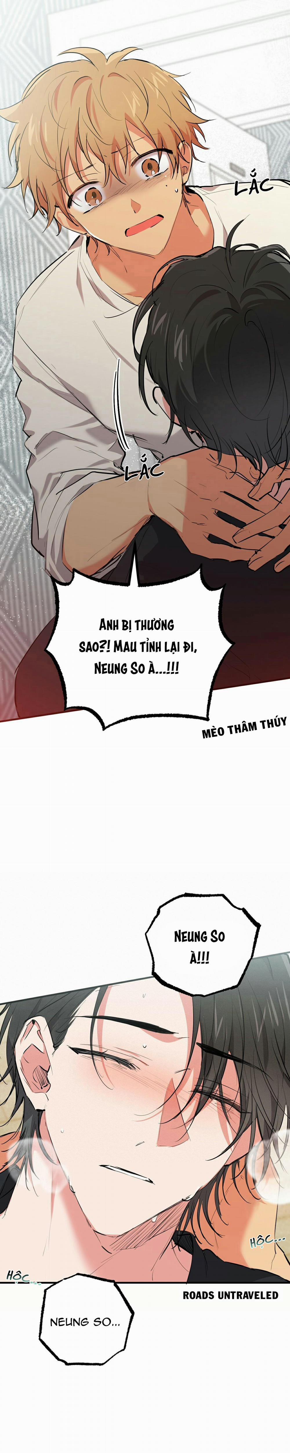 Những Chú Thỏ Của Habibi 36 trang 20