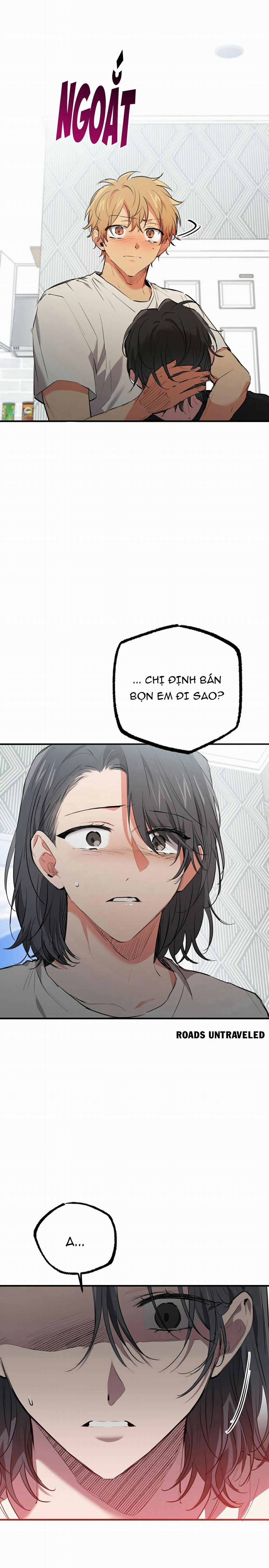 Những Chú Thỏ Của Habibi 36 trang 21