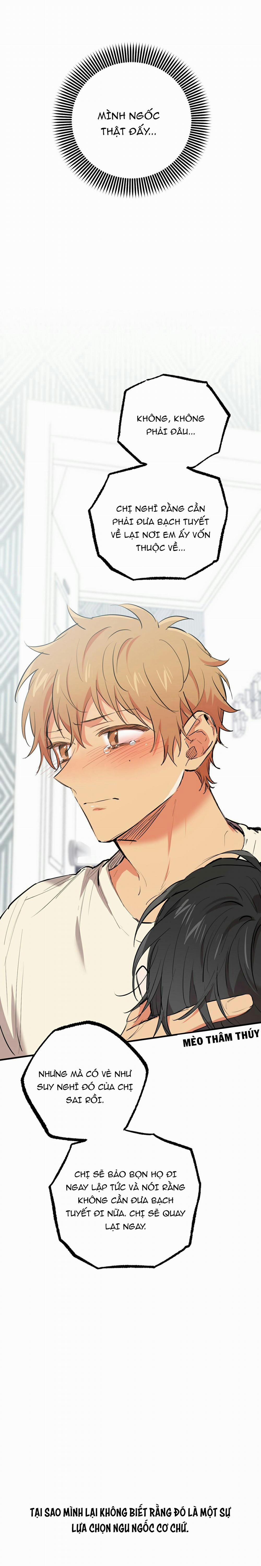 Những Chú Thỏ Của Habibi 36 trang 22