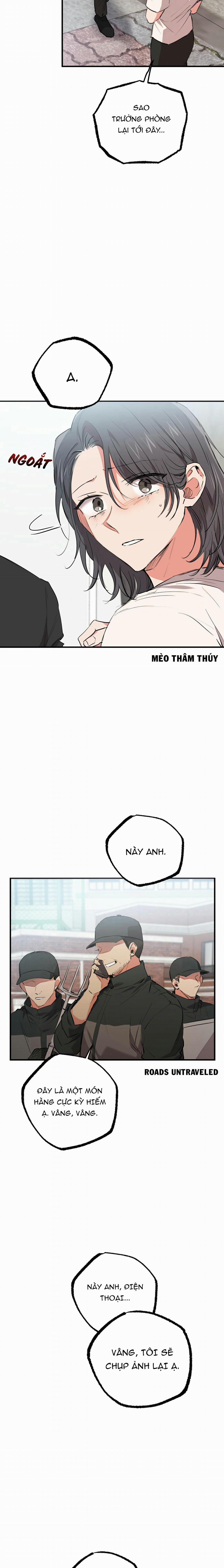 Những Chú Thỏ Của Habibi 36 trang 26