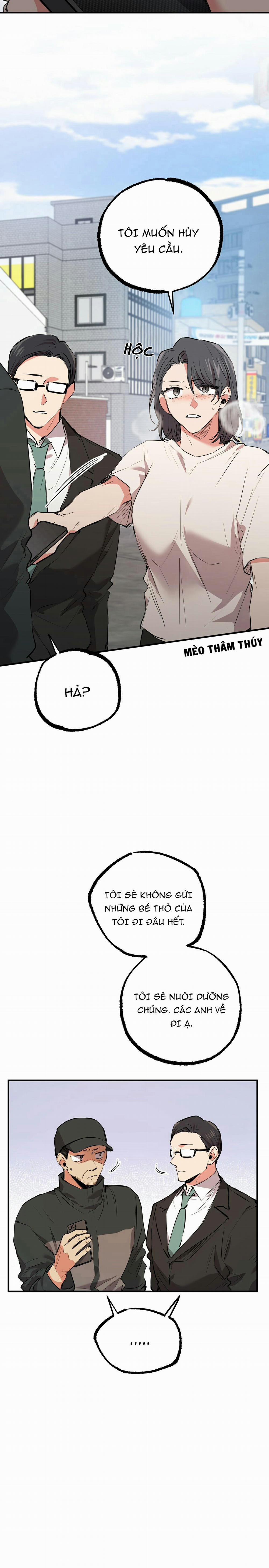 Những Chú Thỏ Của Habibi 36 trang 28