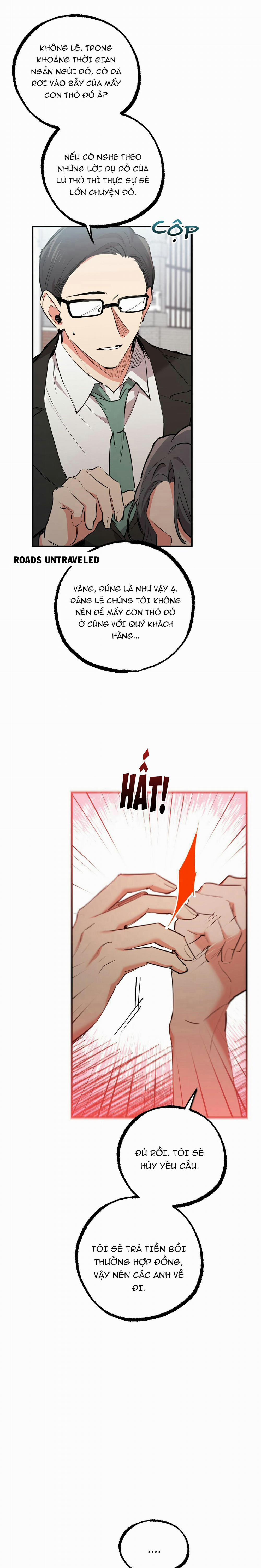 Những Chú Thỏ Của Habibi 36 trang 29