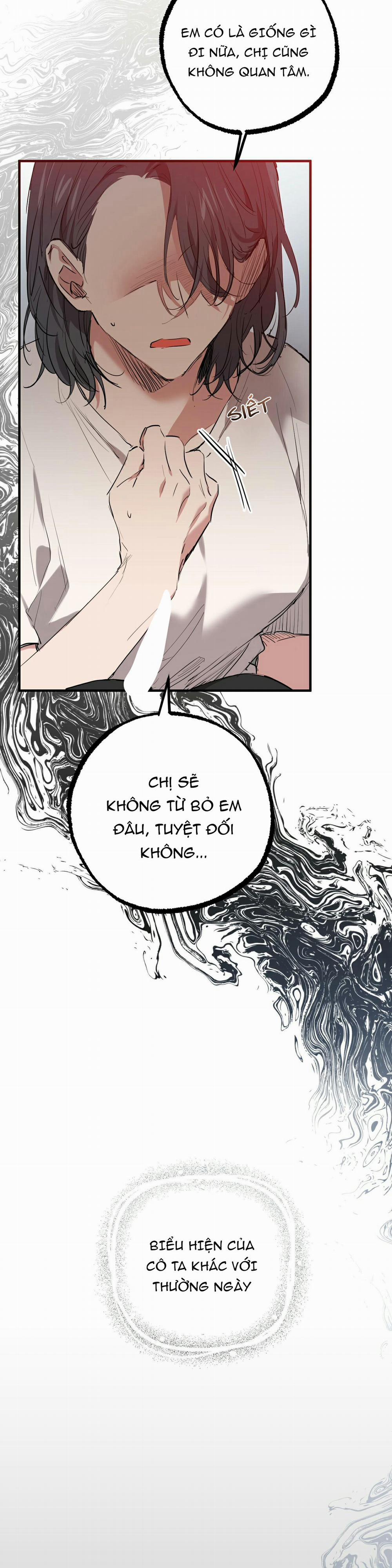 Những Chú Thỏ Của Habibi 36 trang 3