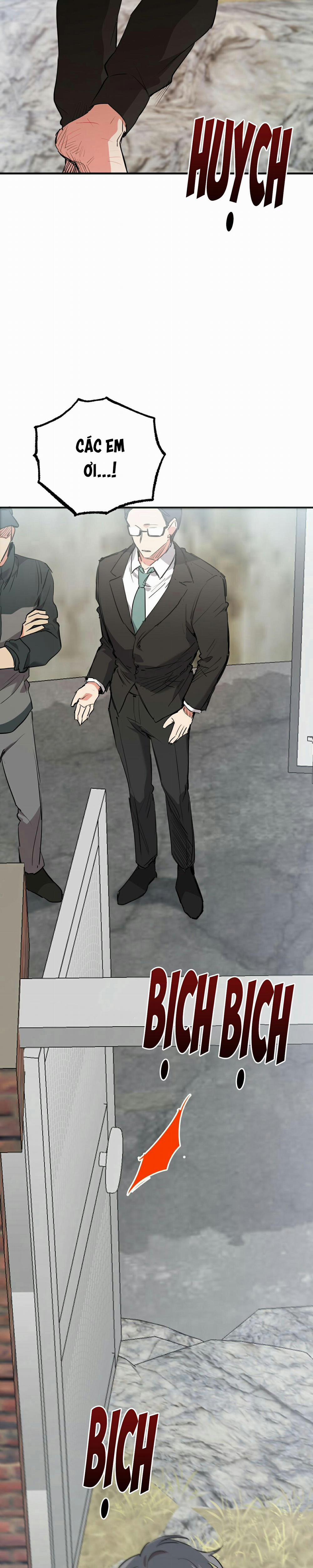 Những Chú Thỏ Của Habibi 36 trang 33