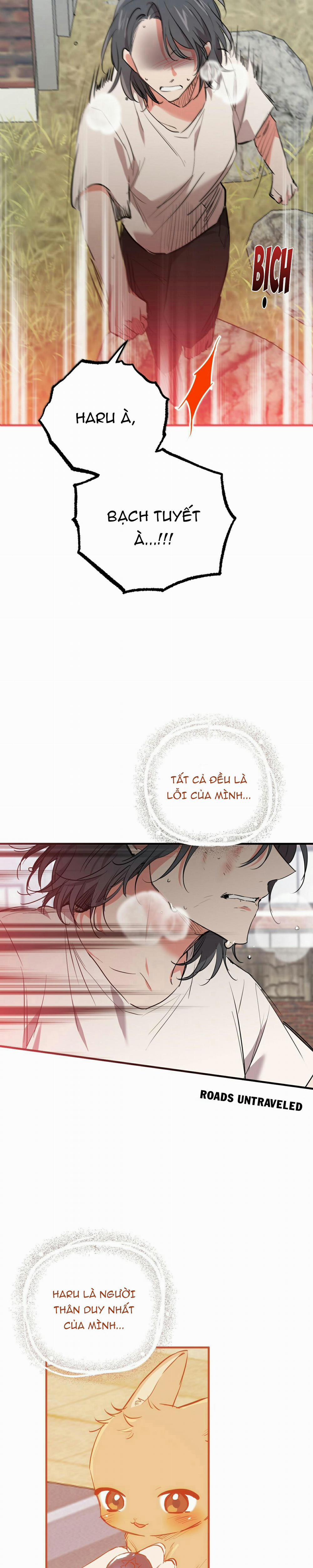 Những Chú Thỏ Của Habibi 36 trang 34