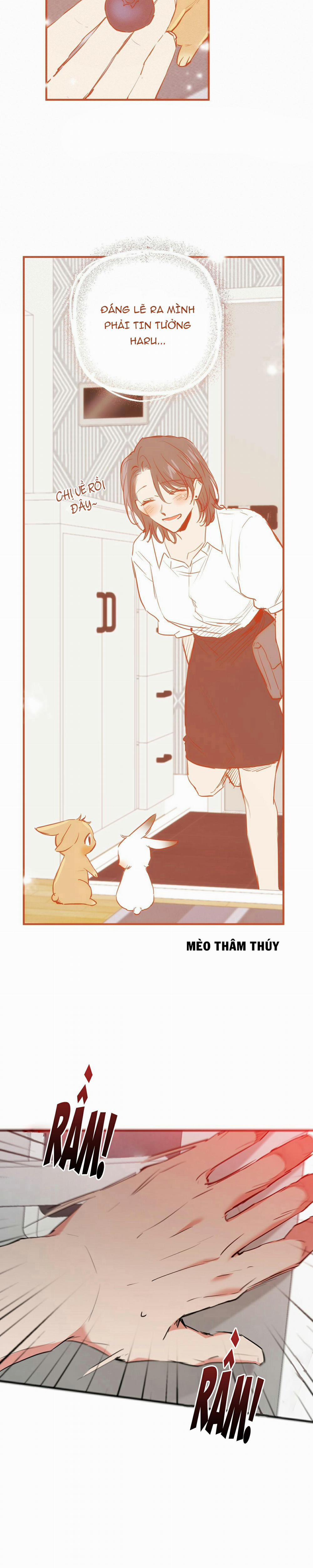 Những Chú Thỏ Của Habibi 36 trang 35