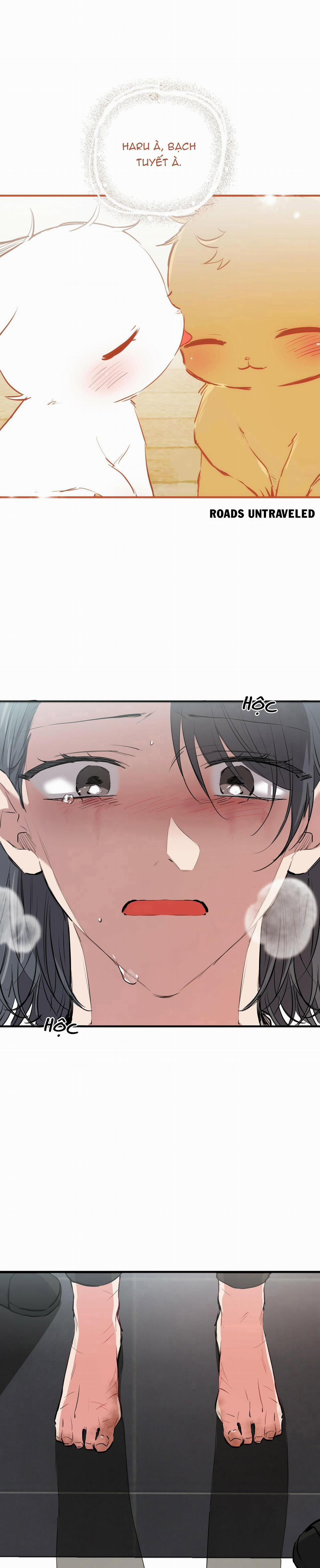 Những Chú Thỏ Của Habibi 36 trang 36