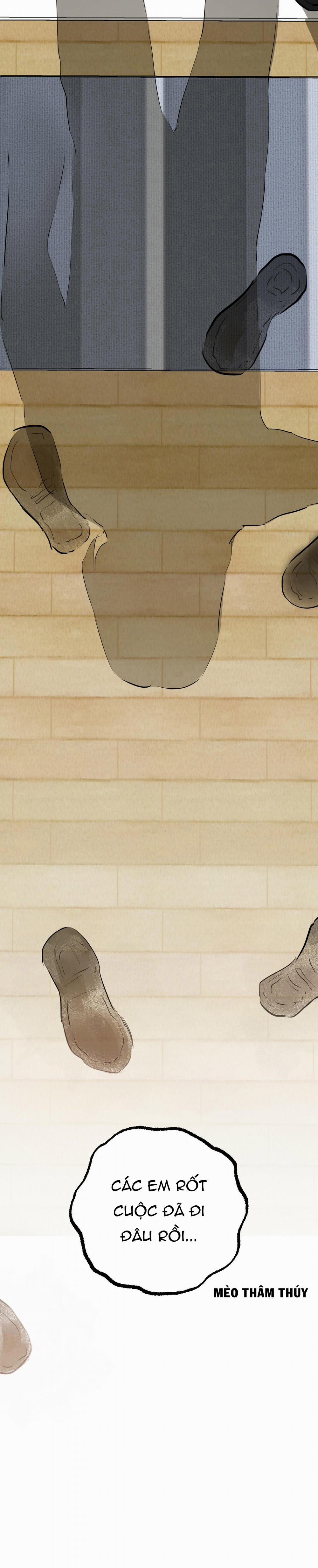 Những Chú Thỏ Của Habibi 36 trang 37