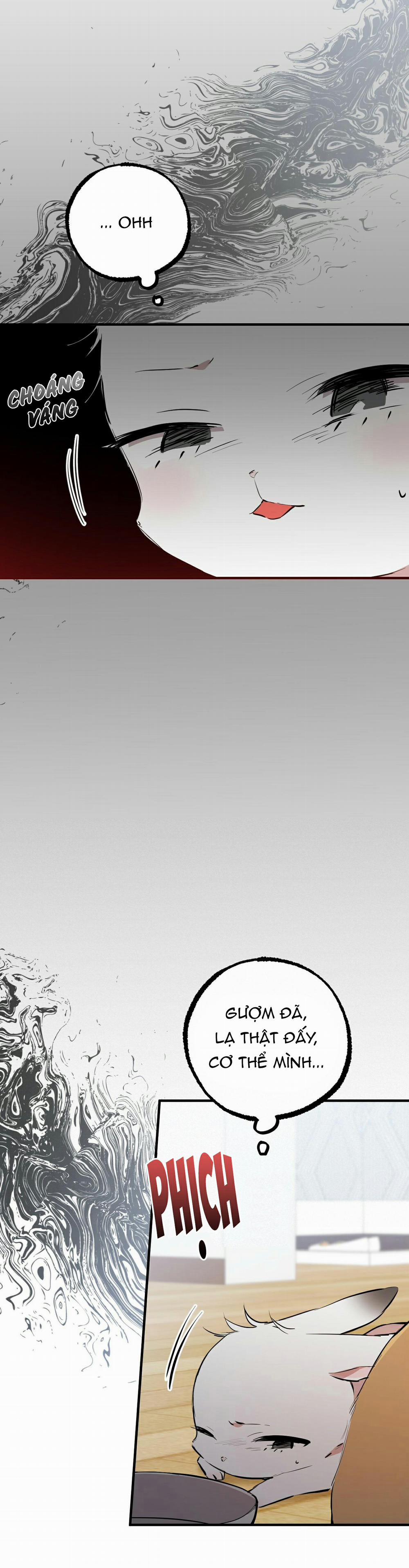 Những Chú Thỏ Của Habibi 36 trang 4