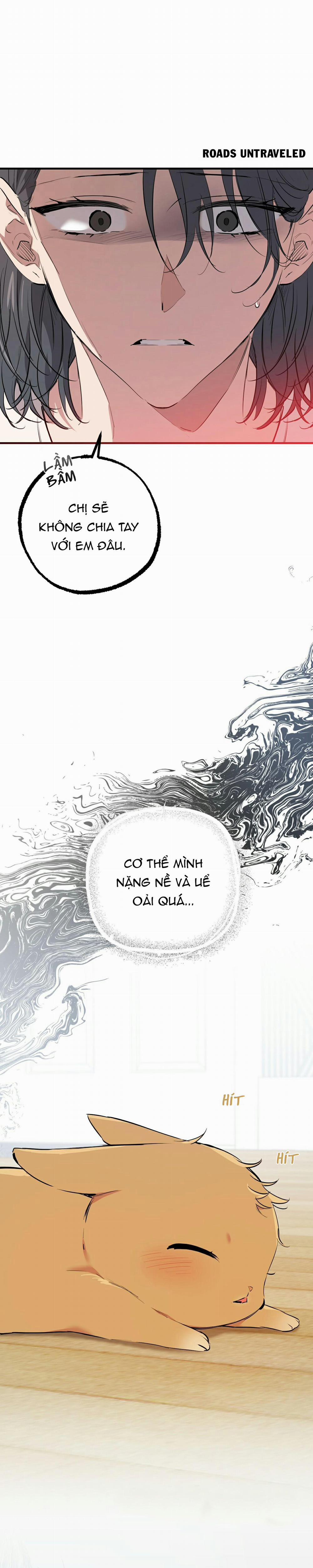 Những Chú Thỏ Của Habibi 36 trang 5