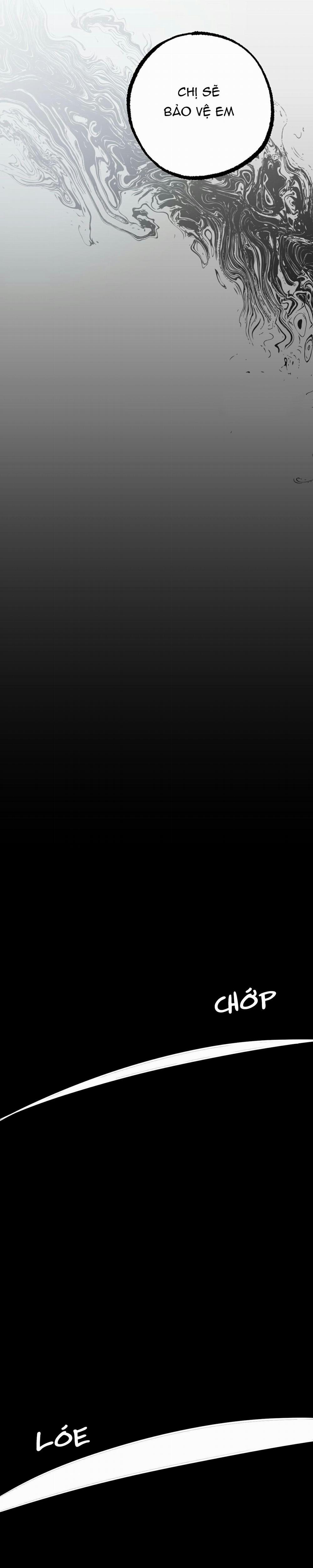 Những Chú Thỏ Của Habibi 36 trang 6