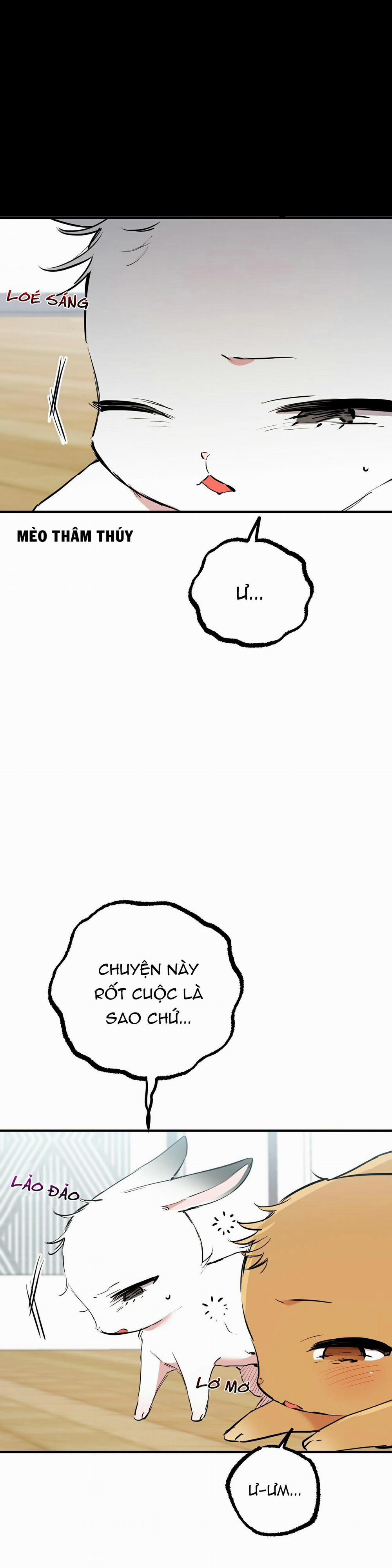 Những Chú Thỏ Của Habibi 36 trang 7