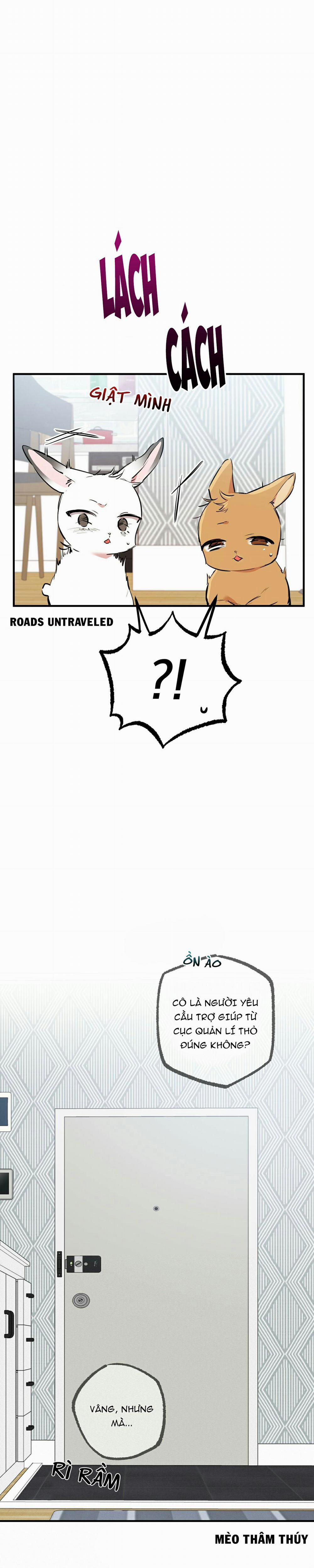 Những Chú Thỏ Của Habibi 36 trang 8