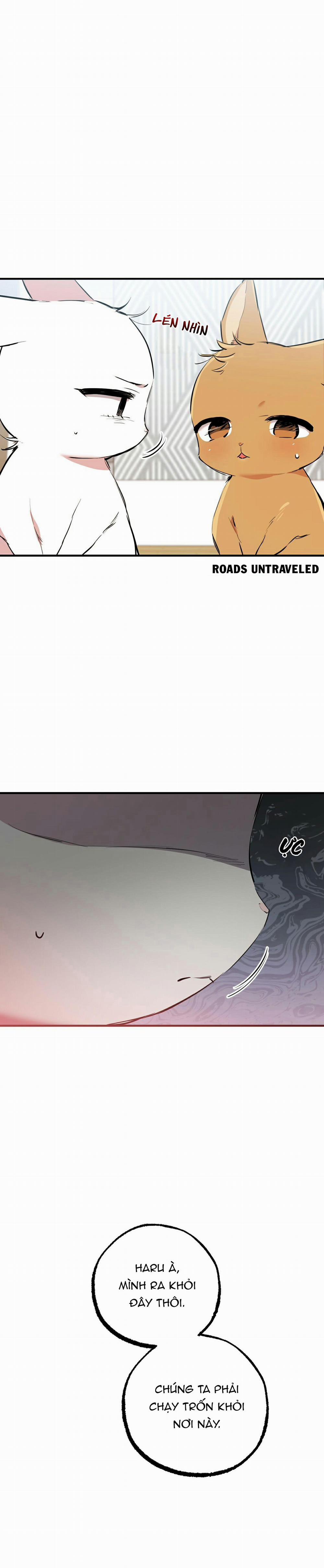 Những Chú Thỏ Của Habibi 36 trang 9