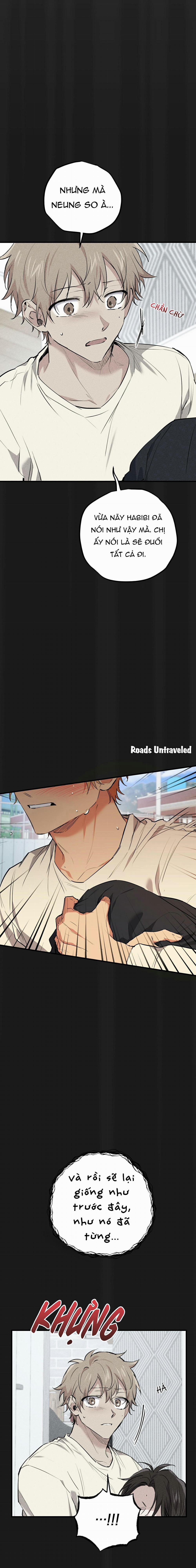 Những Chú Thỏ Của Habibi 37 trang 1