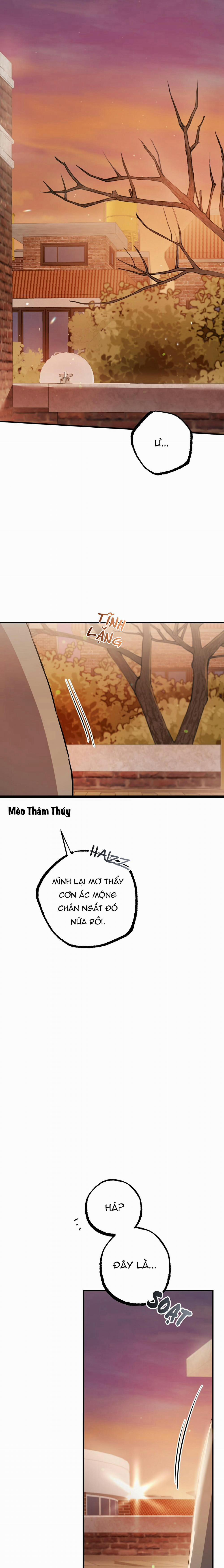 Những Chú Thỏ Của Habibi 37 trang 10