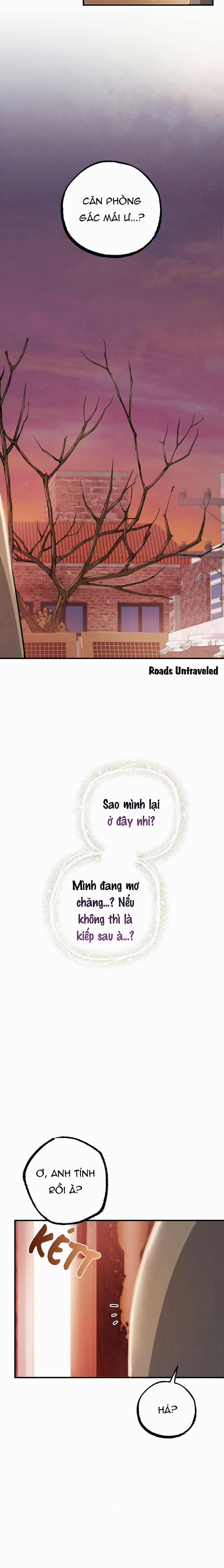 Những Chú Thỏ Của Habibi 37 trang 11