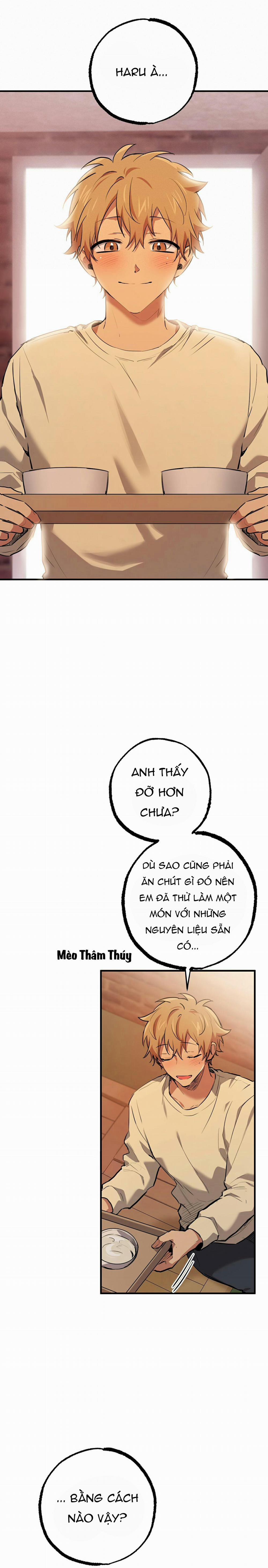 Những Chú Thỏ Của Habibi 37 trang 12