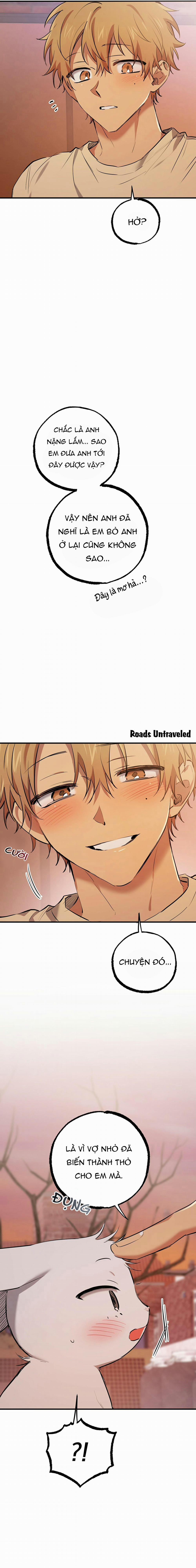 Những Chú Thỏ Của Habibi 37 trang 13