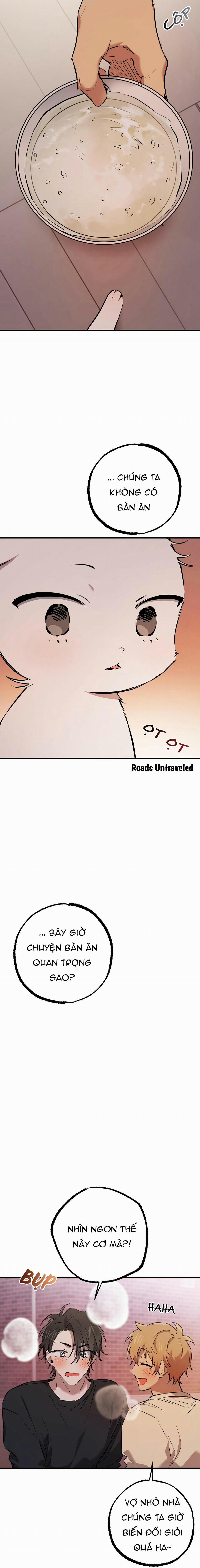 Những Chú Thỏ Của Habibi 37 trang 15