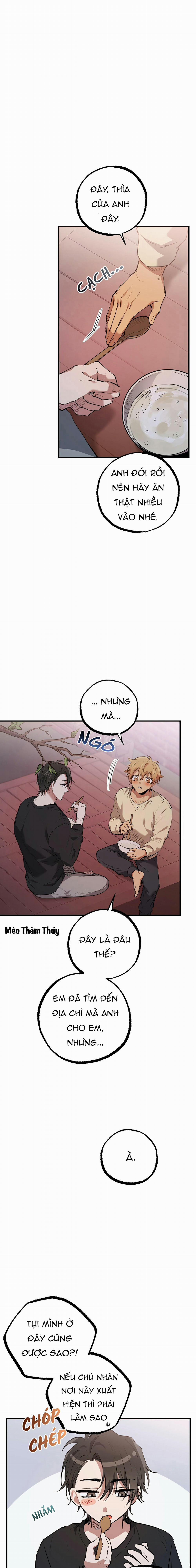 Những Chú Thỏ Của Habibi 37 trang 16