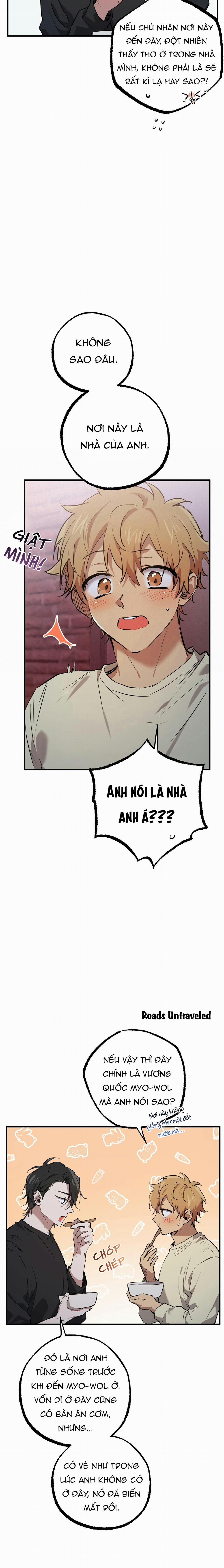 Những Chú Thỏ Của Habibi 37 trang 17