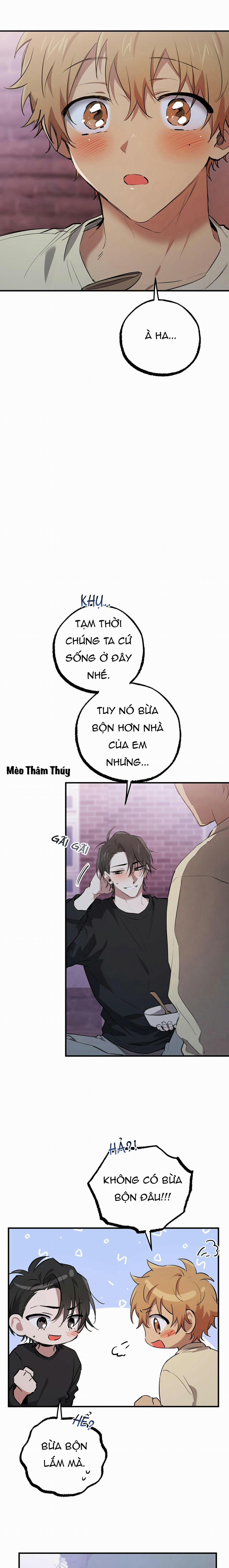 Những Chú Thỏ Của Habibi 37 trang 18