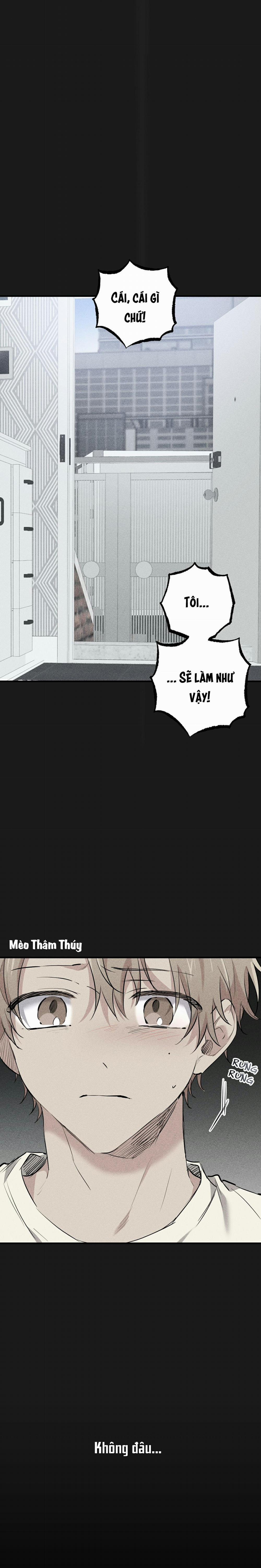 Những Chú Thỏ Của Habibi 37 trang 2