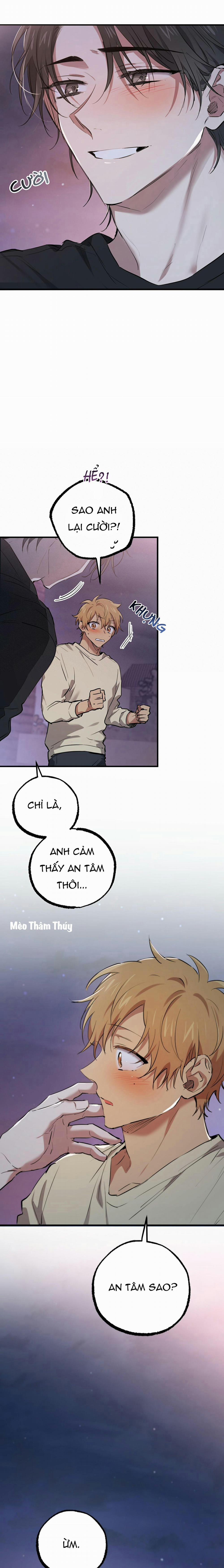 Những Chú Thỏ Của Habibi 37 trang 20