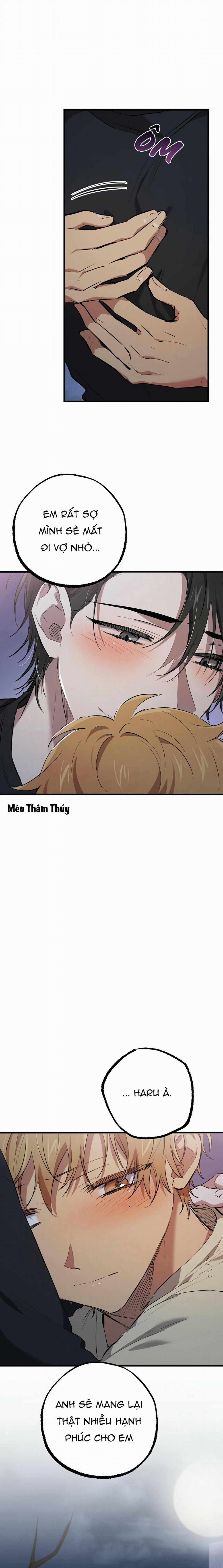 Những Chú Thỏ Của Habibi 37 trang 22