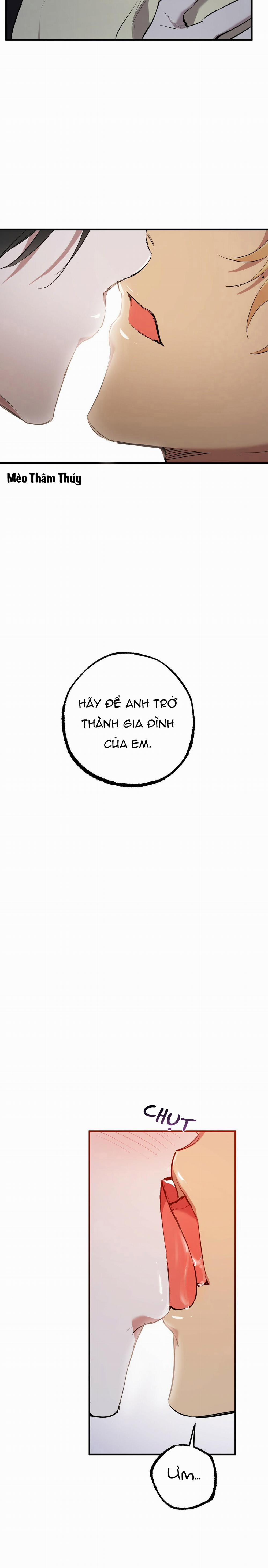 Những Chú Thỏ Của Habibi 37 trang 24