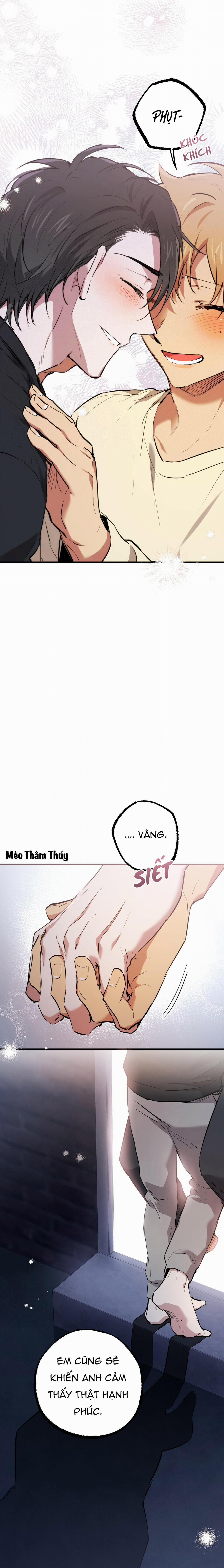 Những Chú Thỏ Của Habibi 37 trang 26