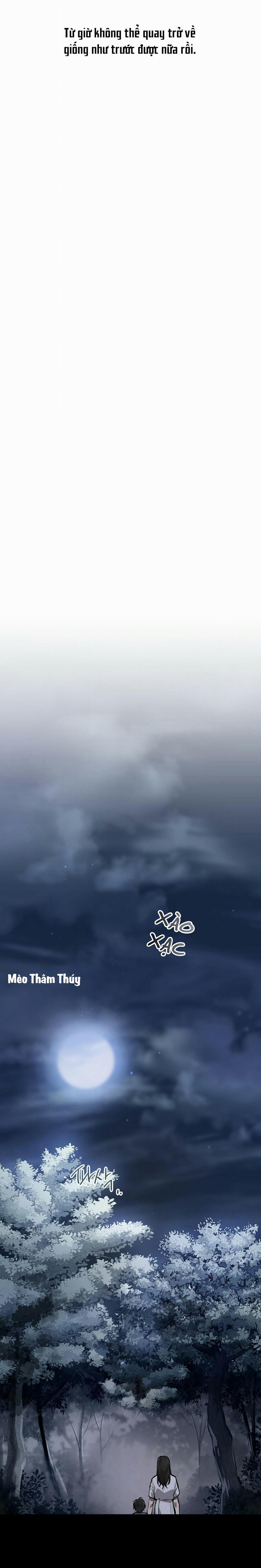 Những Chú Thỏ Của Habibi 37 trang 4