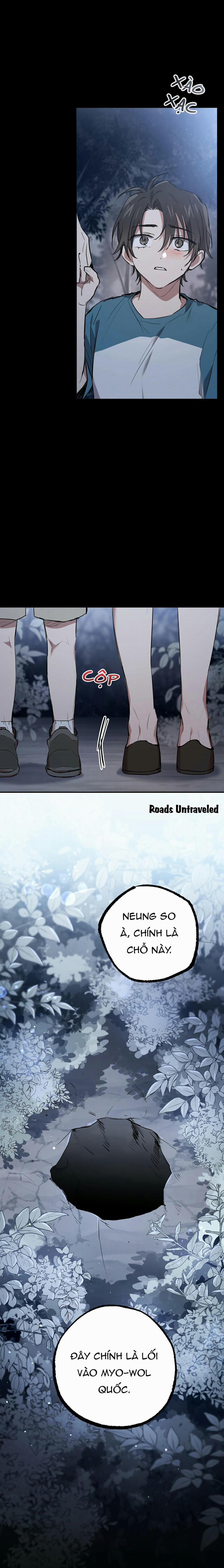 Những Chú Thỏ Của Habibi 37 trang 5