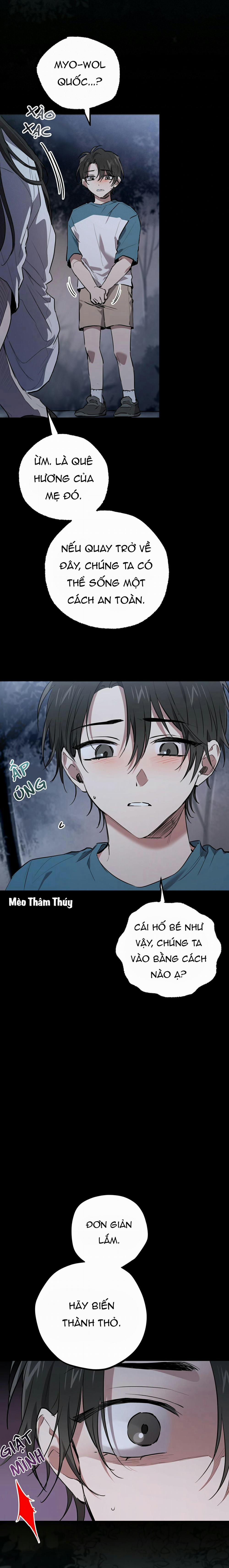 Những Chú Thỏ Của Habibi 37 trang 6