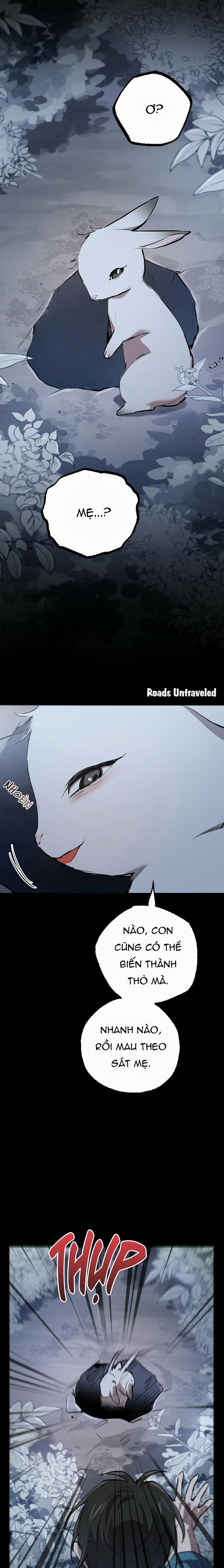 Những Chú Thỏ Của Habibi 37 trang 7