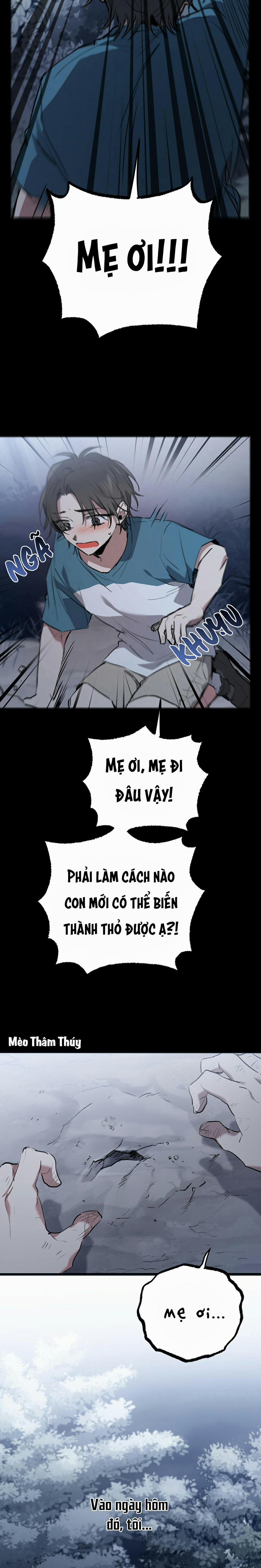 Những Chú Thỏ Của Habibi 37 trang 8