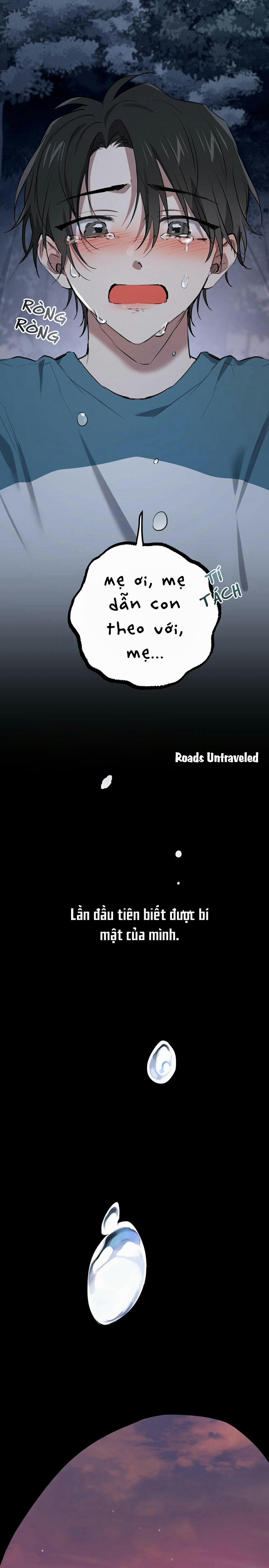 Những Chú Thỏ Của Habibi 37 trang 9