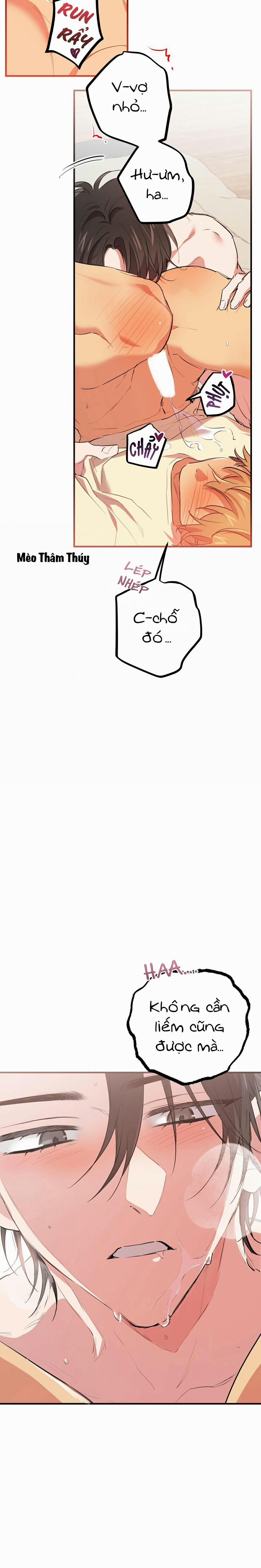 Những Chú Thỏ Của Habibi 38 trang 10