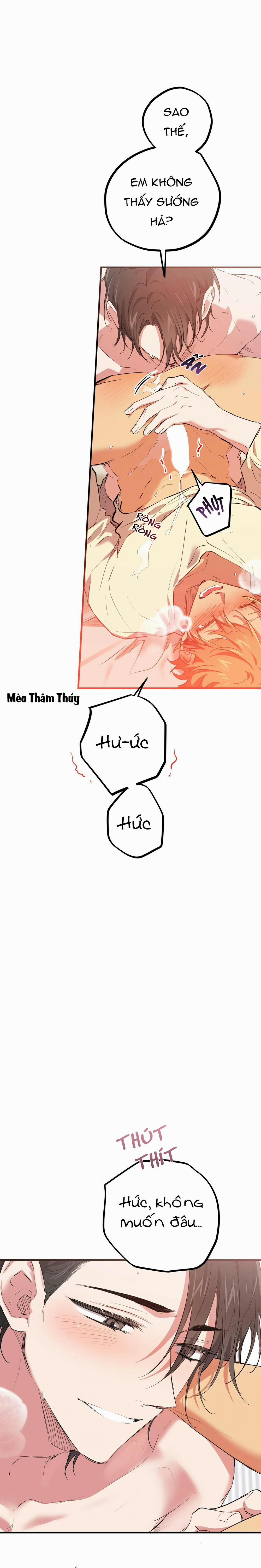 Những Chú Thỏ Của Habibi 38 trang 12