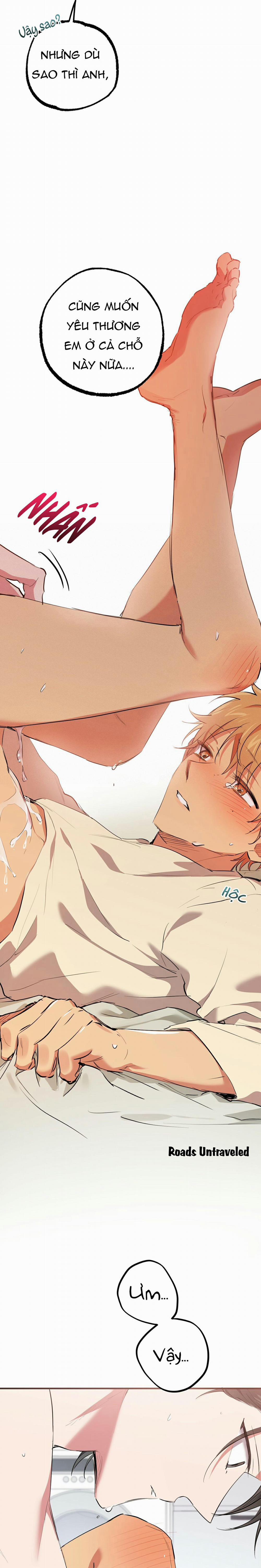 Những Chú Thỏ Của Habibi 38 trang 13