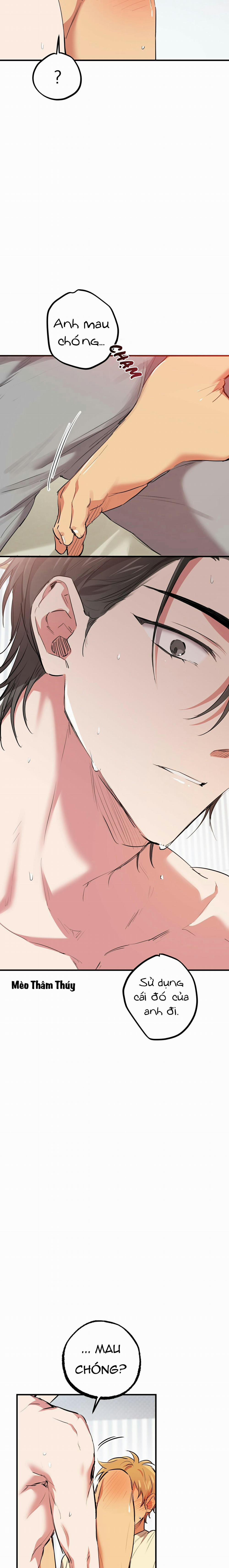 Những Chú Thỏ Của Habibi 38 trang 14