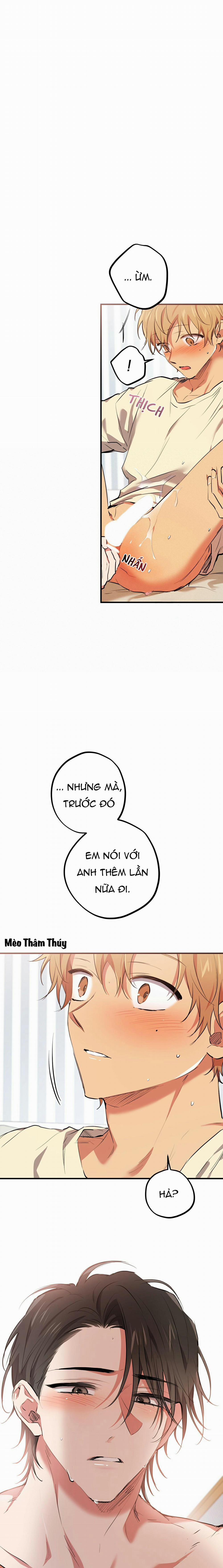 Những Chú Thỏ Của Habibi 38 trang 16