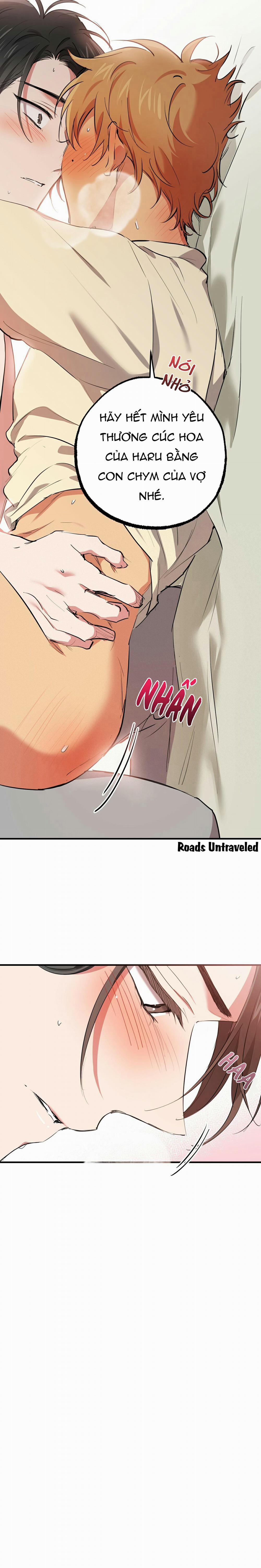 Những Chú Thỏ Của Habibi 38 trang 19