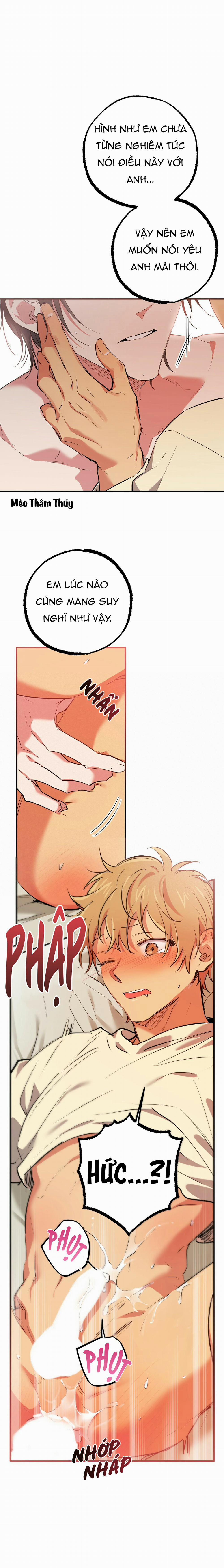 Những Chú Thỏ Của Habibi 38 trang 22