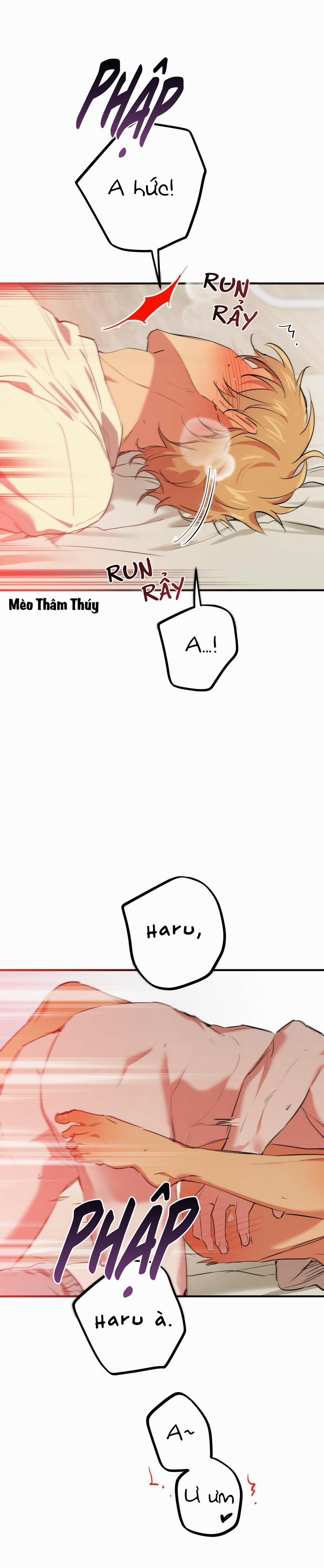 Những Chú Thỏ Của Habibi 38 trang 24