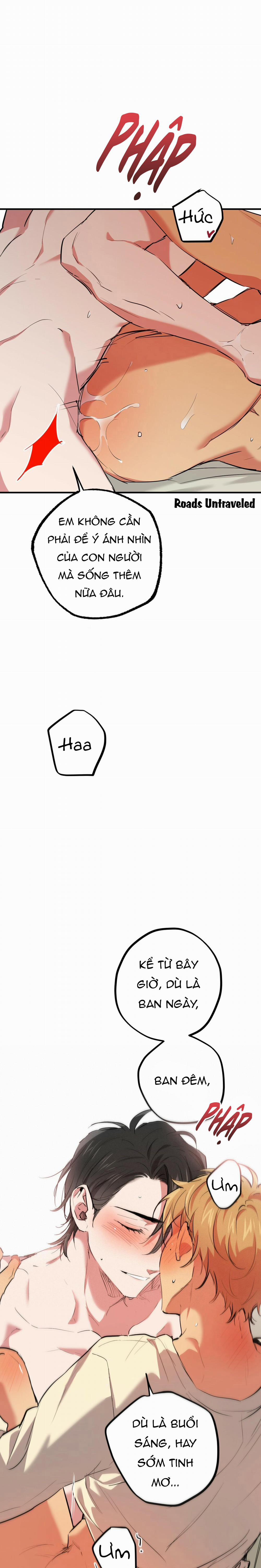 Những Chú Thỏ Của Habibi 38 trang 25