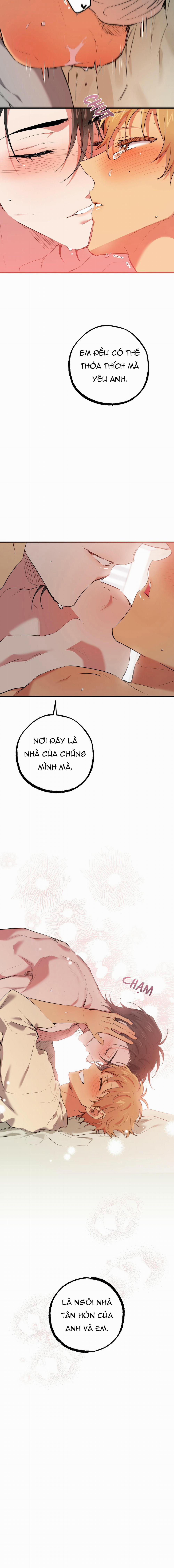 Những Chú Thỏ Của Habibi 38 trang 26