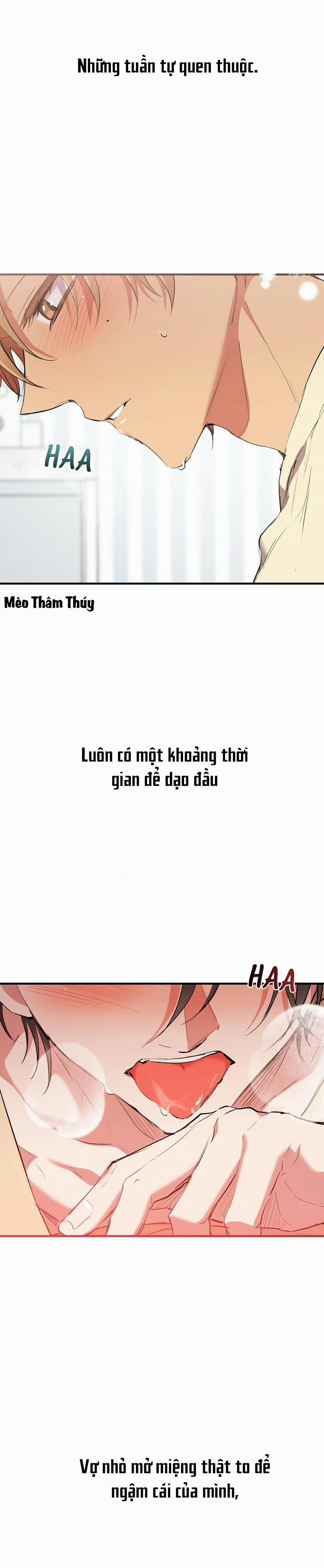 Những Chú Thỏ Của Habibi 38 trang 4