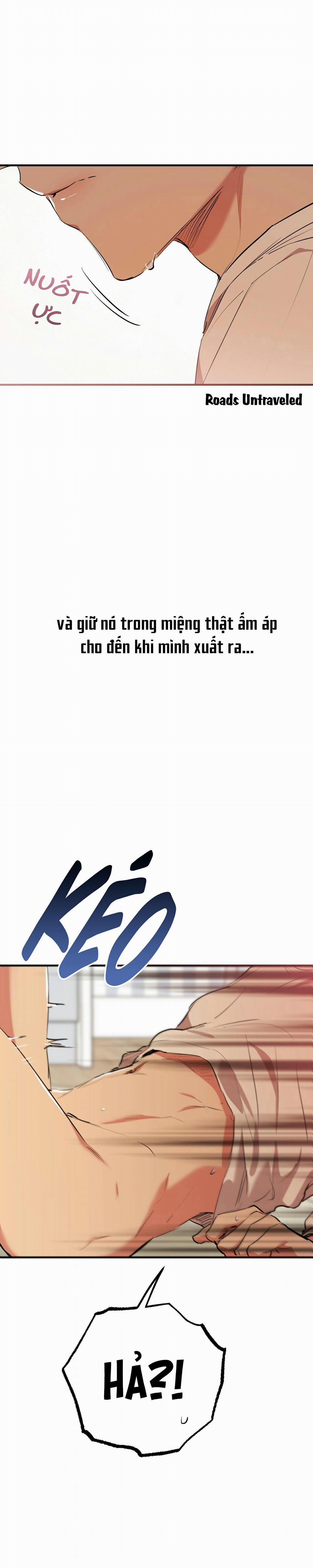 Những Chú Thỏ Của Habibi 38 trang 5